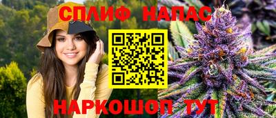 молекула духа Краснознаменск
