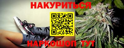 стаф Краснодар
